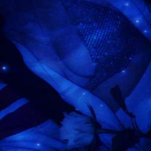 无码少妇精品一区二区
