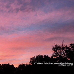 无码少妇精品一区二区
